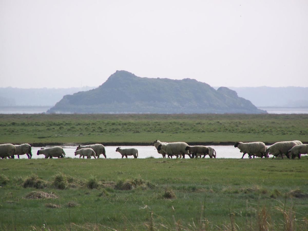 Charmante Maison De Pecheur En Baie Du Mont Saint Michel Genets Ngoại thất bức ảnh